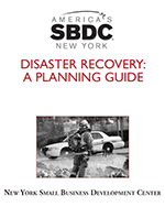 Disaster Recovery Planning Guide