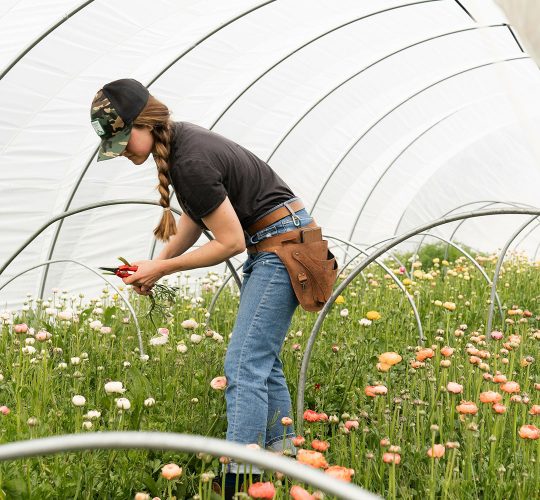 NYSBDC-Specialty-Program-Agribusiness